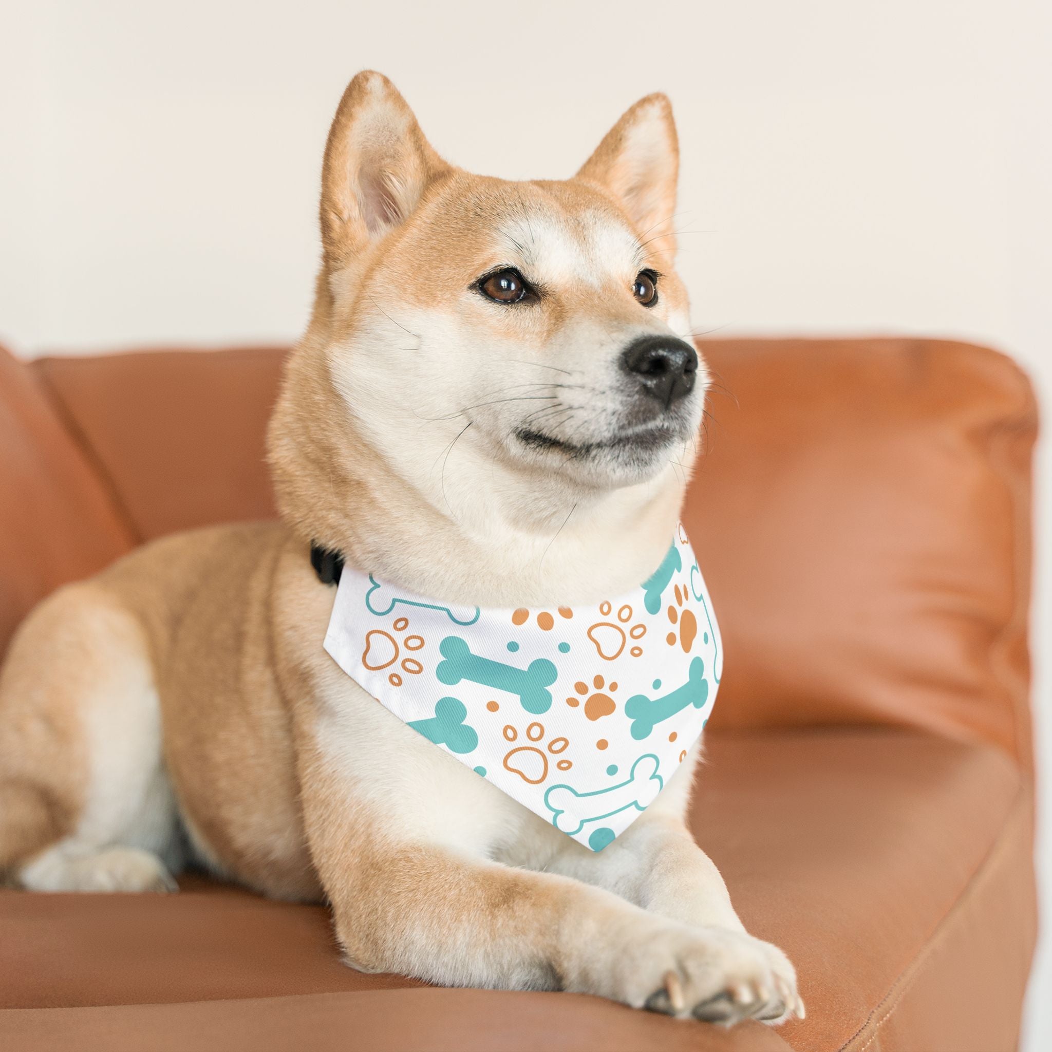 Pet Bandana Collar - Teal Bone & Paw Print Dog Bandana Collar for Everyday Wear