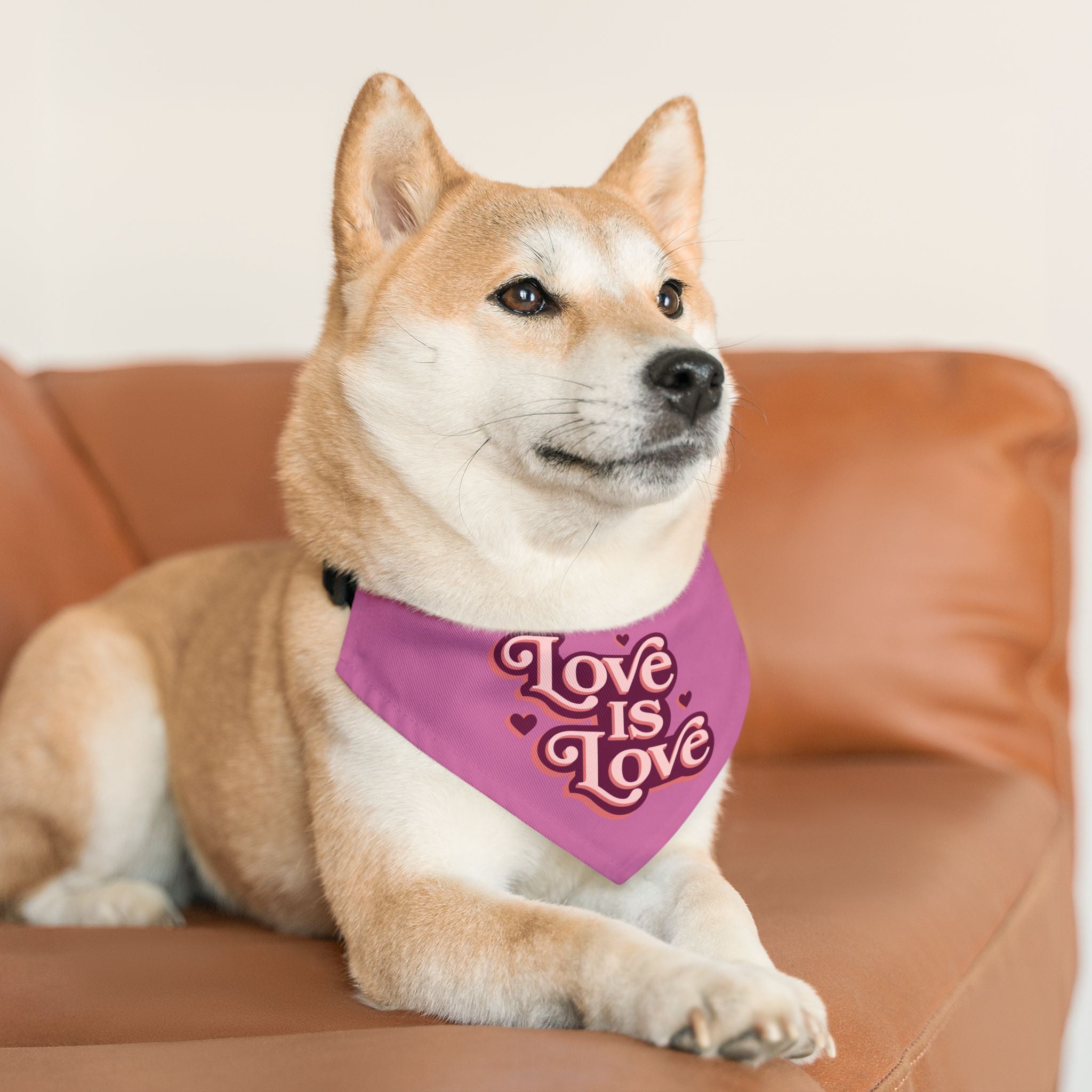 Love Is Love Pet Bandana Collar — Pride Pink Dog & Cat Accessory