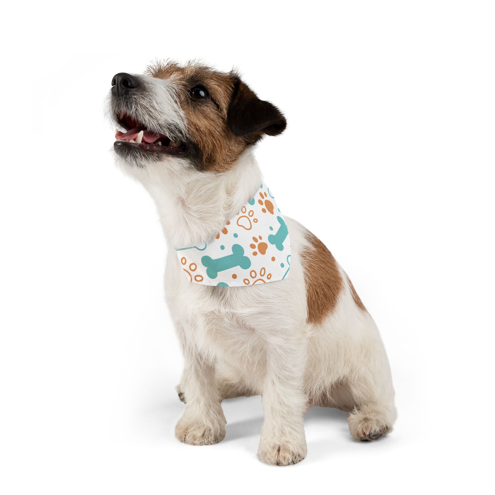 Pet Bandana Collar - Teal Bone & Paw Print Dog Bandana Collar for Everyday Wear