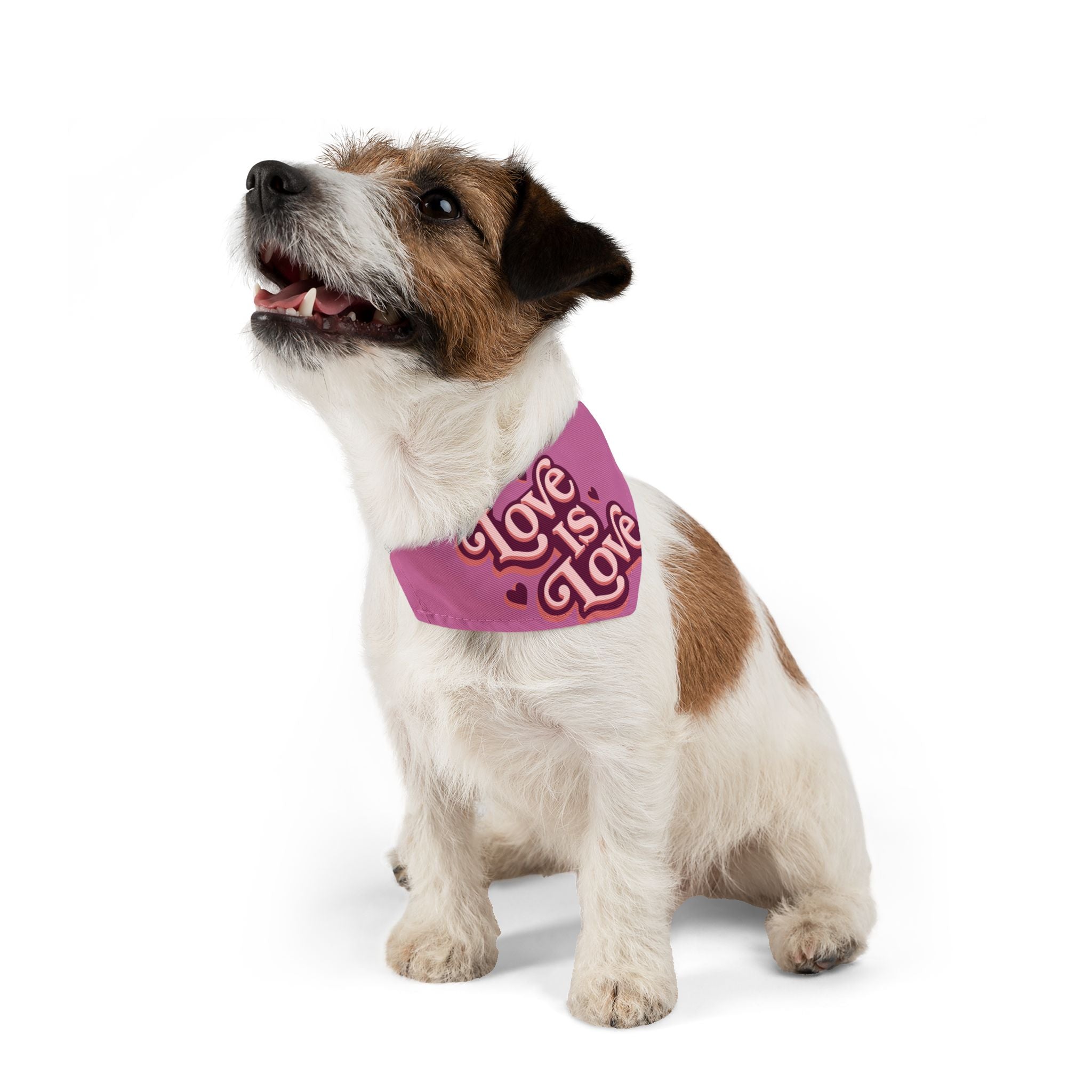 Love Is Love Pet Bandana Collar — Pride Pink Dog & Cat Accessory